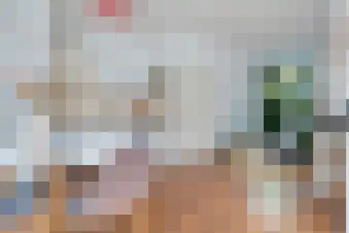 Anthoniedijk 6 Utrecht thumbnail 7