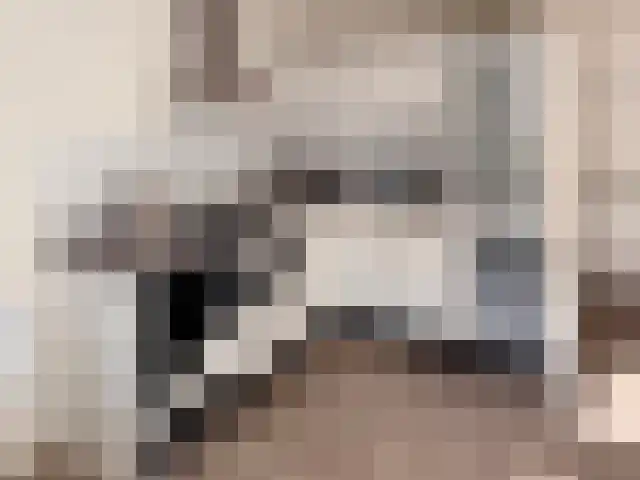 Anthoniedijk 9 A Utrecht thumbnail 4