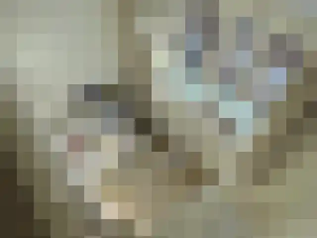 Anthoniedijk 9 A Utrecht thumbnail 6