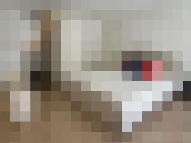 Anthoniedijk 9 A Utrecht thumbnail 8