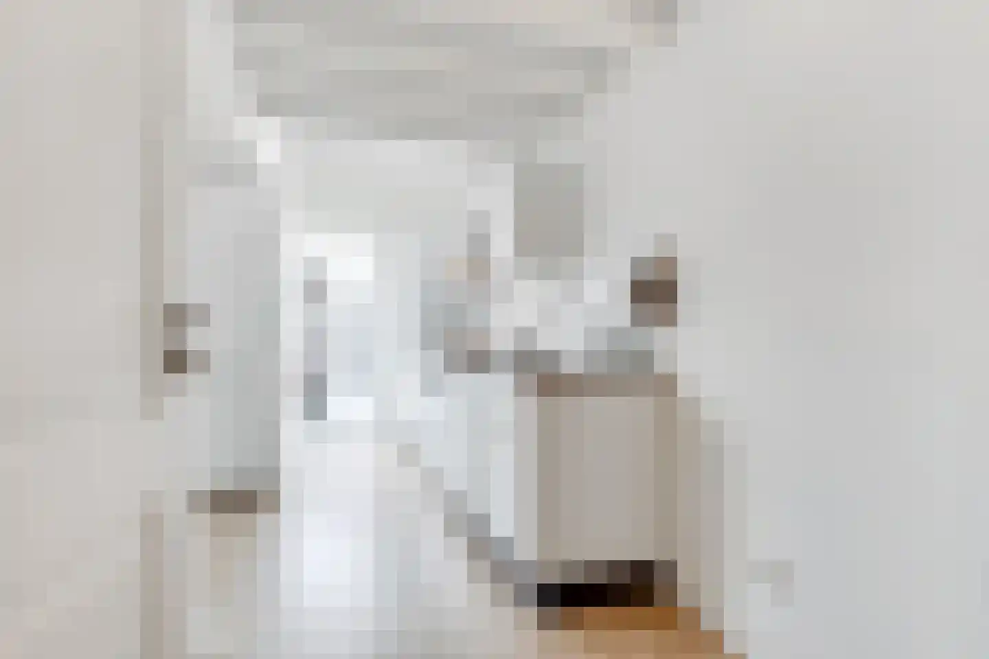 Anthoniedijk 9 C Utrecht thumbnail 6