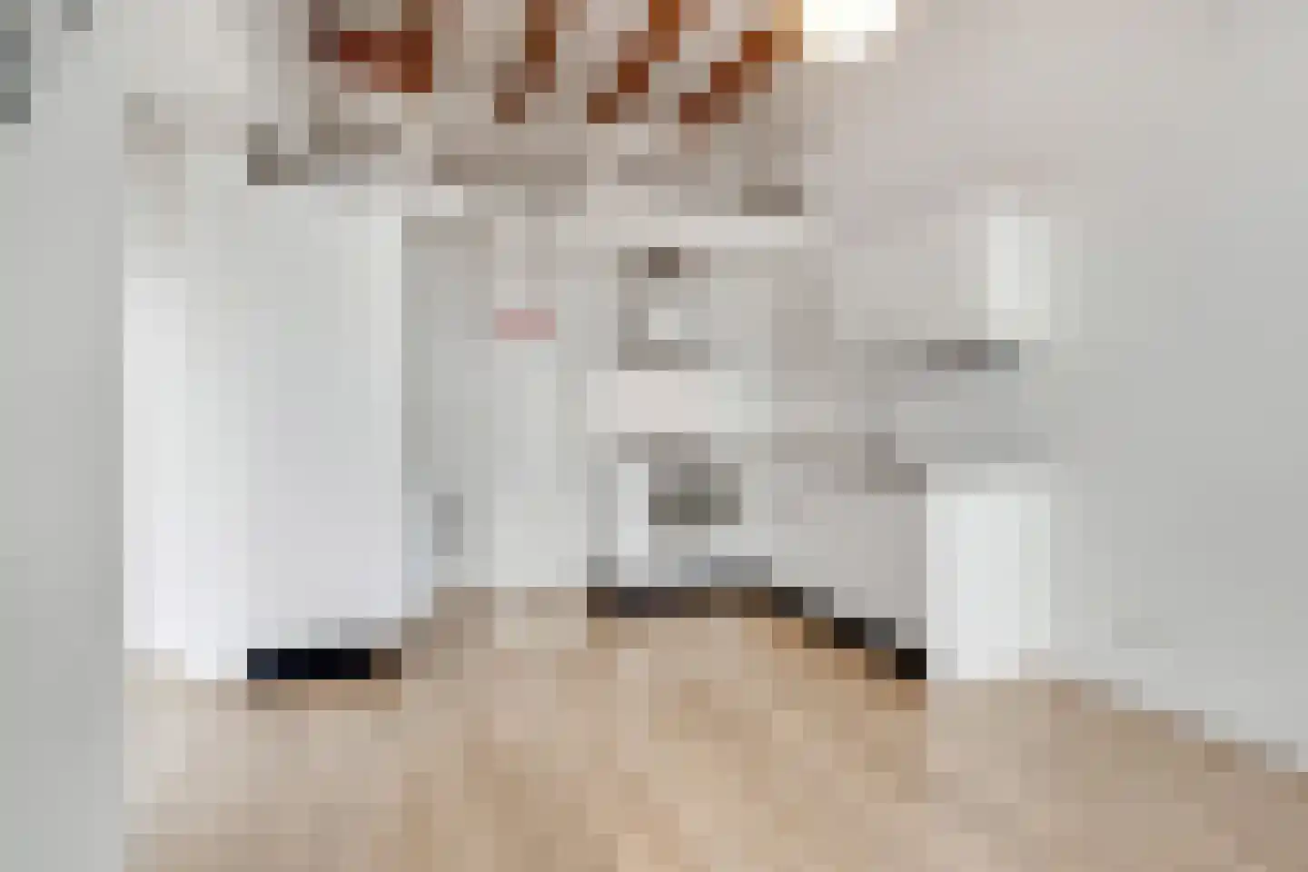 Anthoniedijk 9 T Utrecht thumbnail 10