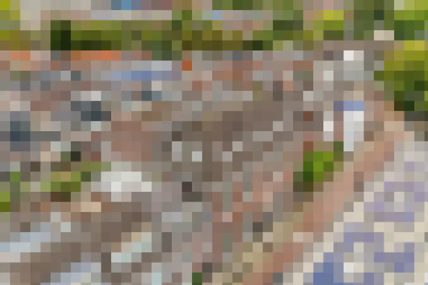 Anthoniedijk 9 T Utrecht thumbnail 19