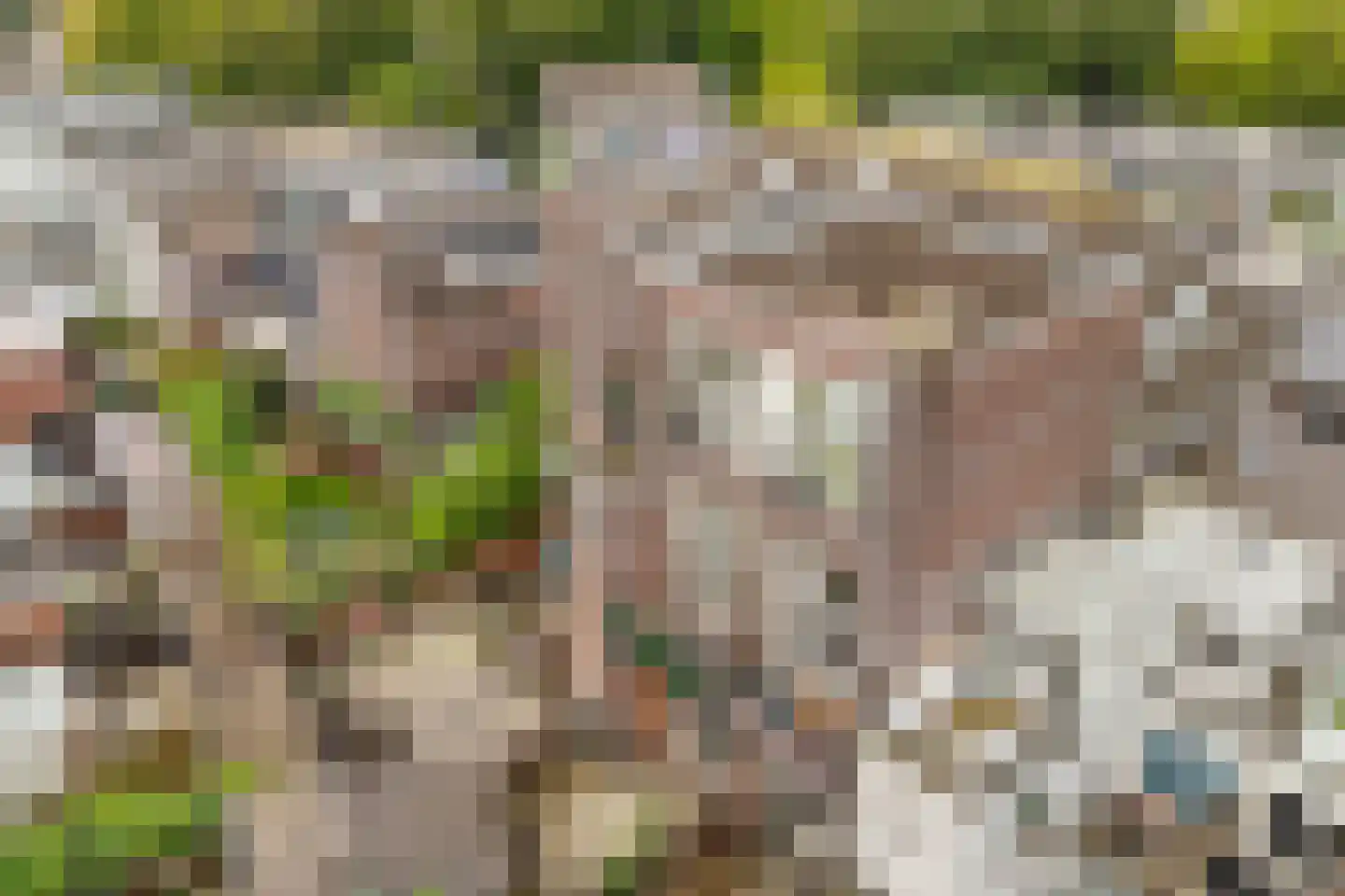 Anthoniedijk 9 T Utrecht thumbnail 20