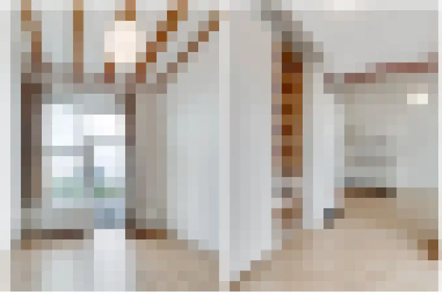 Anthoniedijk 9 T Utrecht thumbnail 5