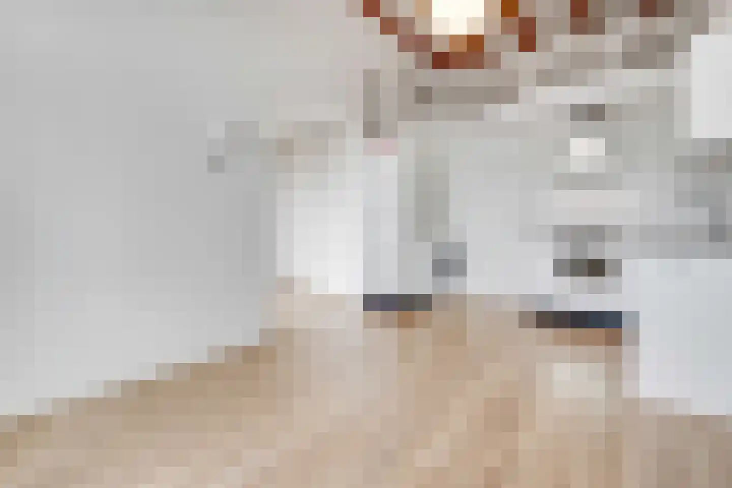 Anthoniedijk 9 T Utrecht thumbnail 8