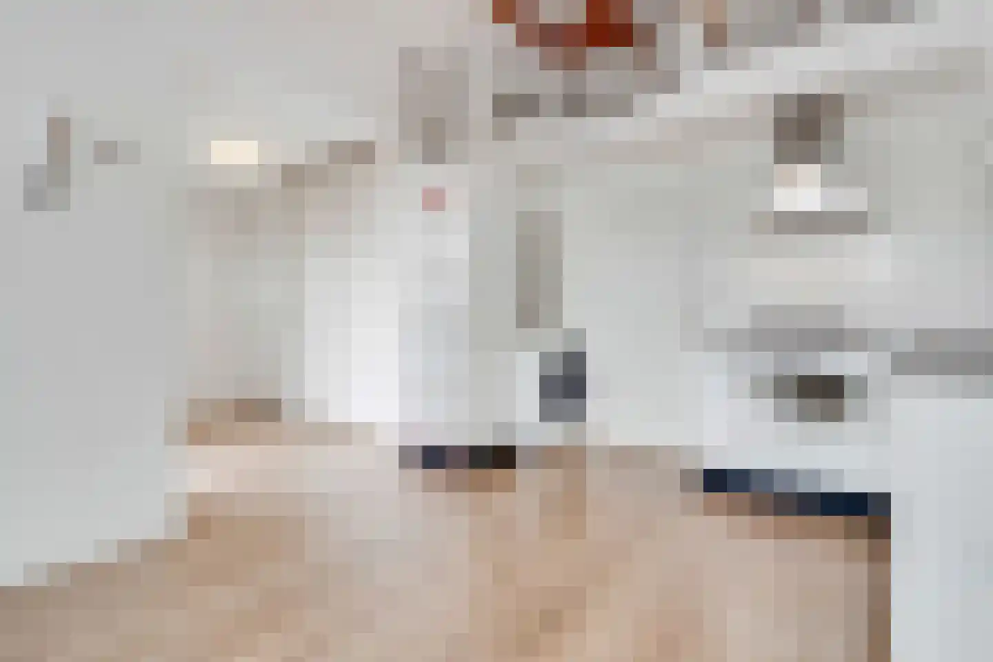 Anthoniedijk 9 T Utrecht thumbnail 9