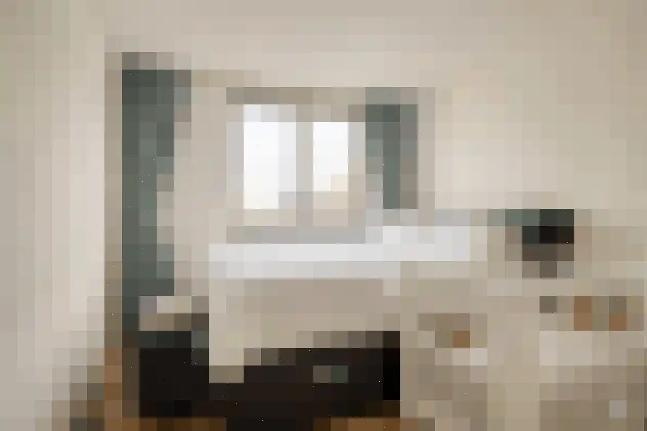 Anthonis van der Nootstraat 55 Spijkenisse thumbnail 11