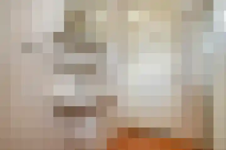 Anthonis van der Nootstraat 55 Spijkenisse thumbnail 12