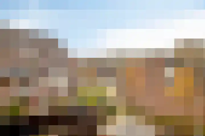 Anthonis van der Nootstraat 55 Spijkenisse thumbnail 22
