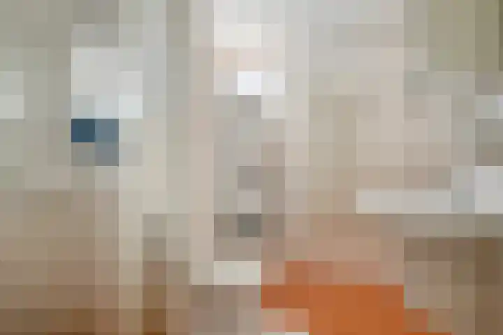 Anthonis van der Nootstraat 55 Spijkenisse thumbnail 4