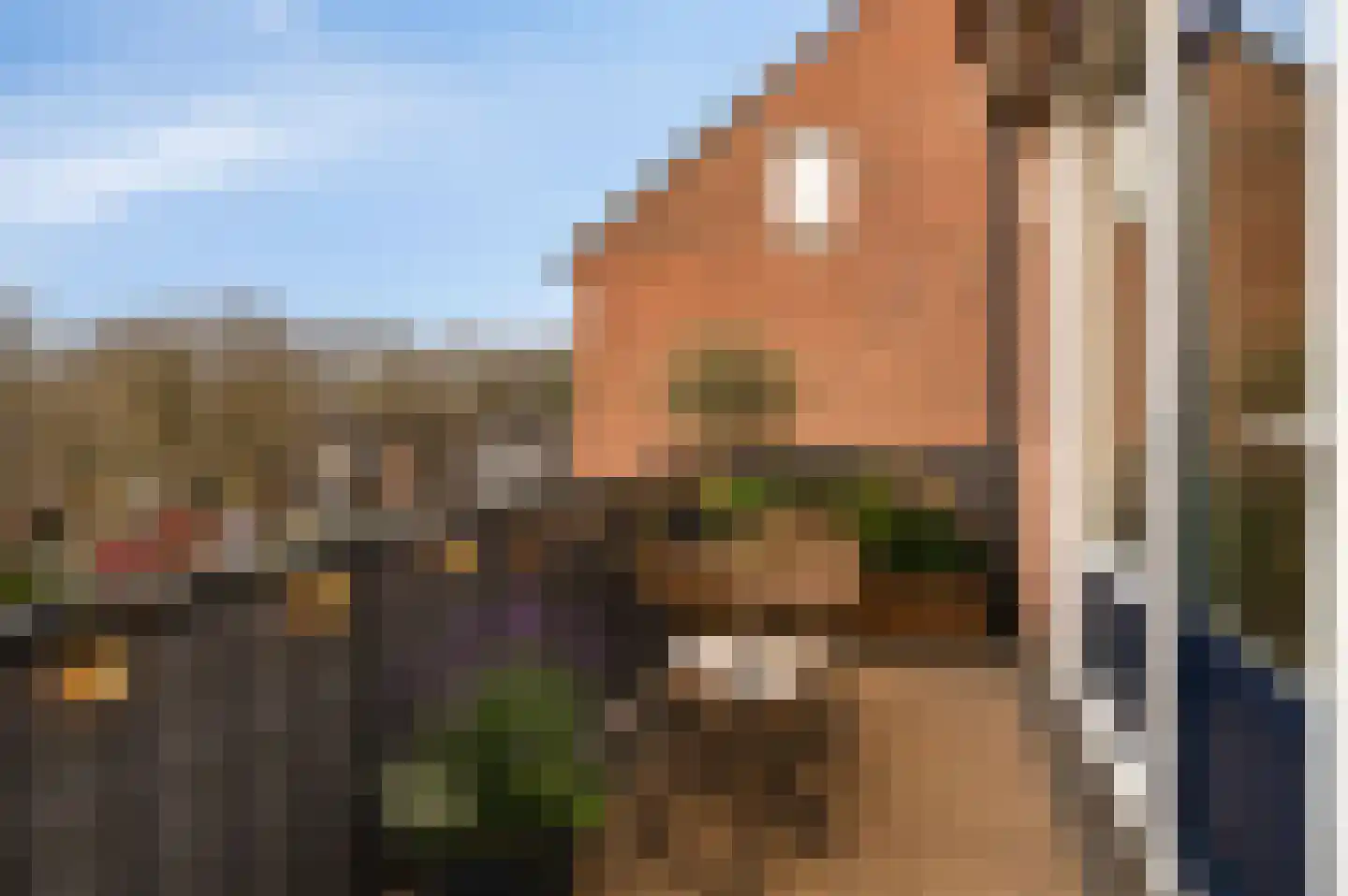 Anthonis van der Nootstraat 55 Spijkenisse thumbnail 4