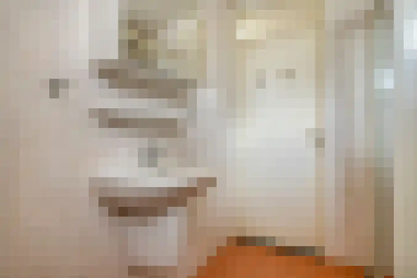 Anthonis van der Nootstraat 55 Spijkenisse thumbnail 9