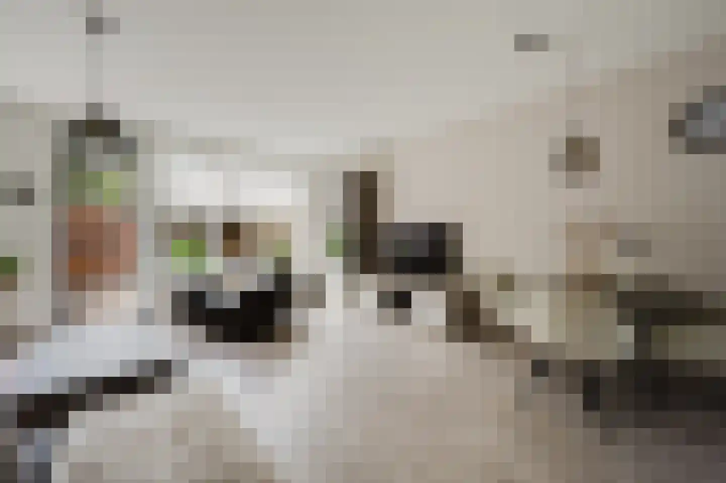 Anthonis van der Nootstraat 63 Spijkenisse thumbnail 11