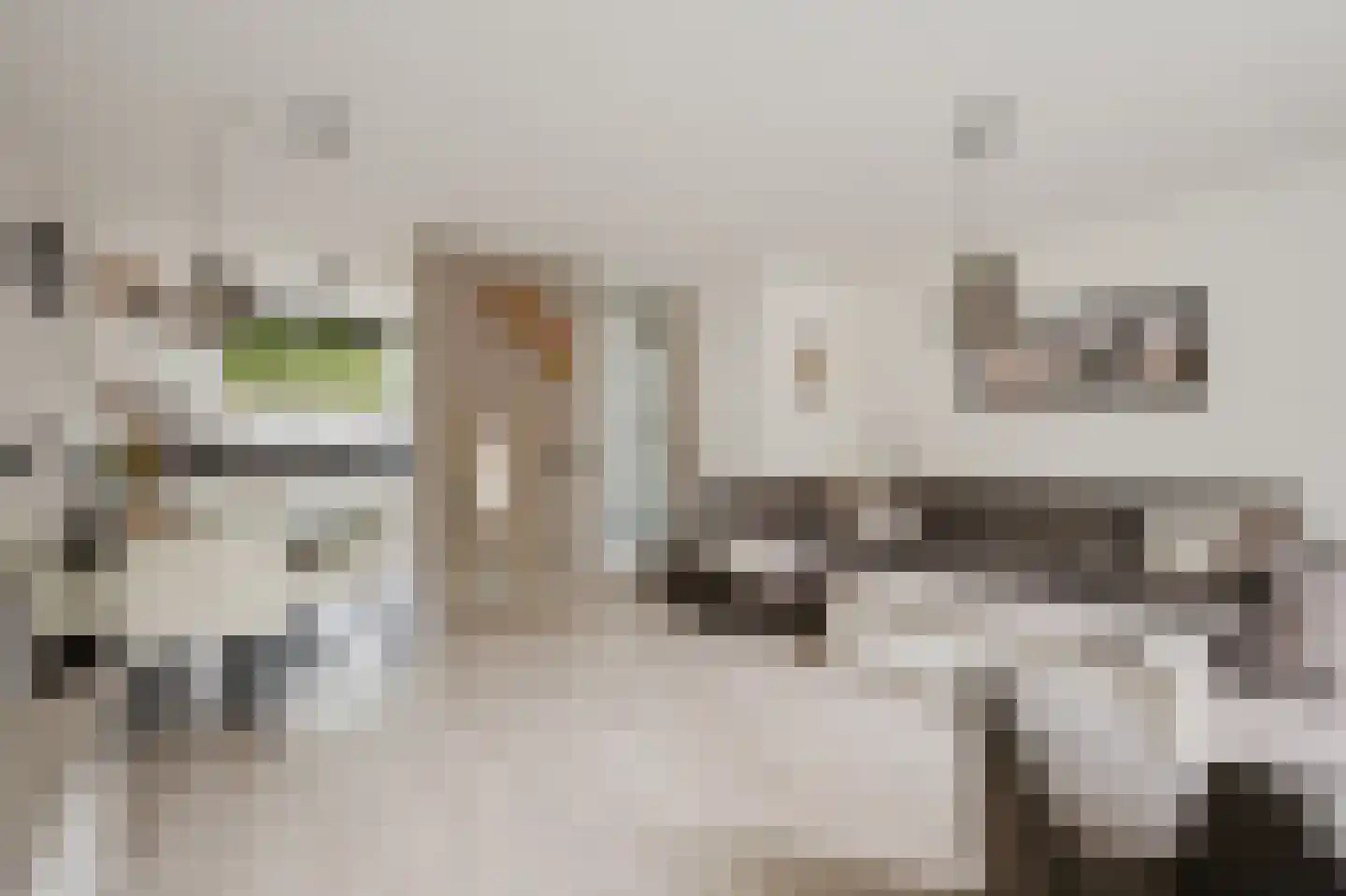Anthonis van der Nootstraat 63 Spijkenisse thumbnail 12