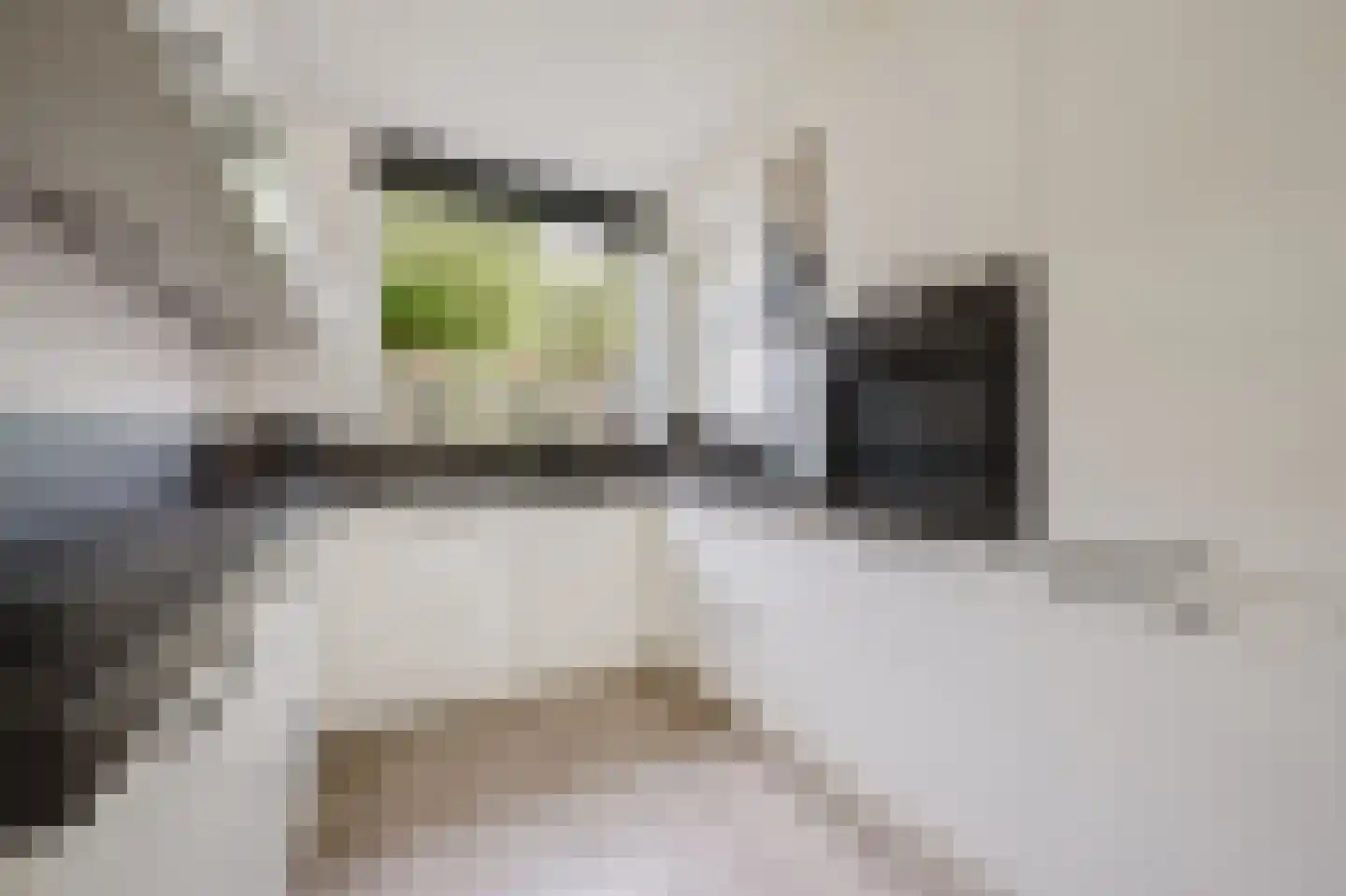 Anthonis van der Nootstraat 63 Spijkenisse thumbnail 13