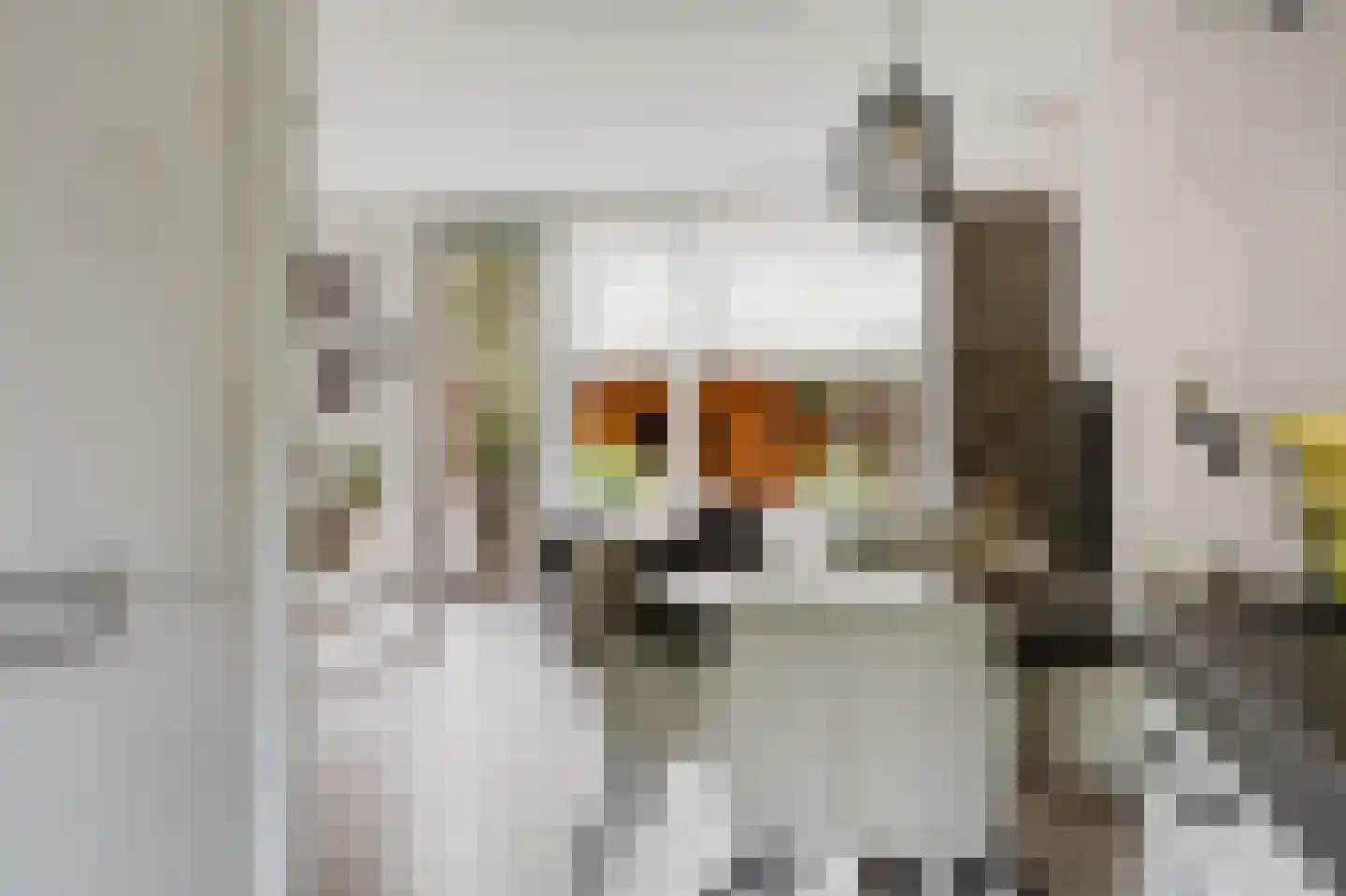 Anthonis van der Nootstraat 63 Spijkenisse thumbnail 14
