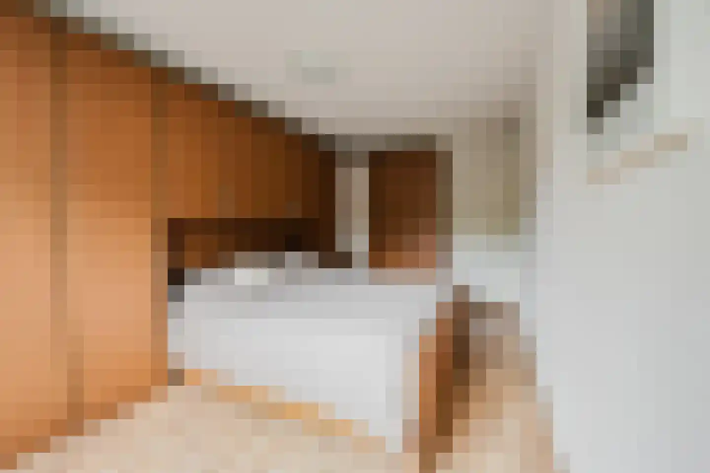 Anthonis van der Nootstraat 63 Spijkenisse thumbnail 21