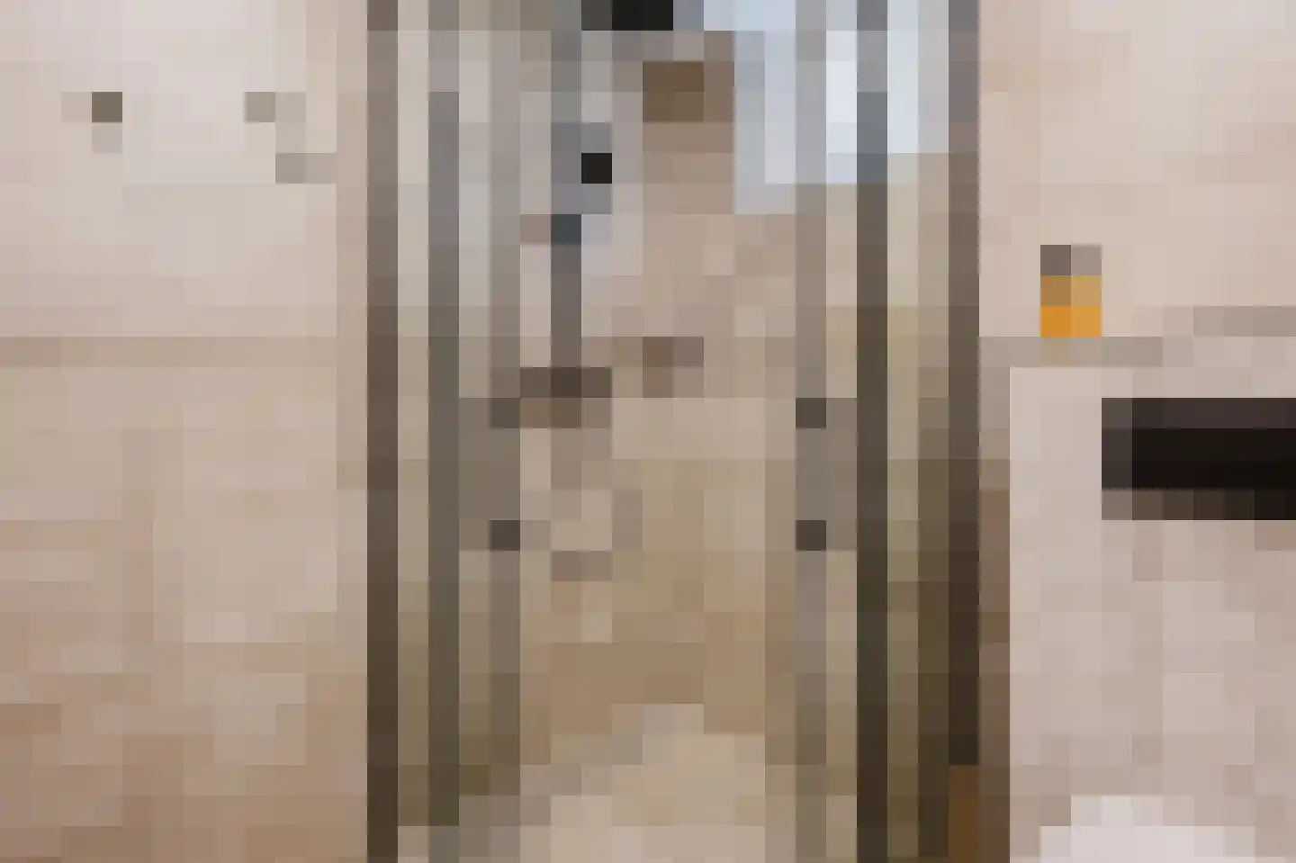 Anthonis van der Nootstraat 63 Spijkenisse thumbnail 24