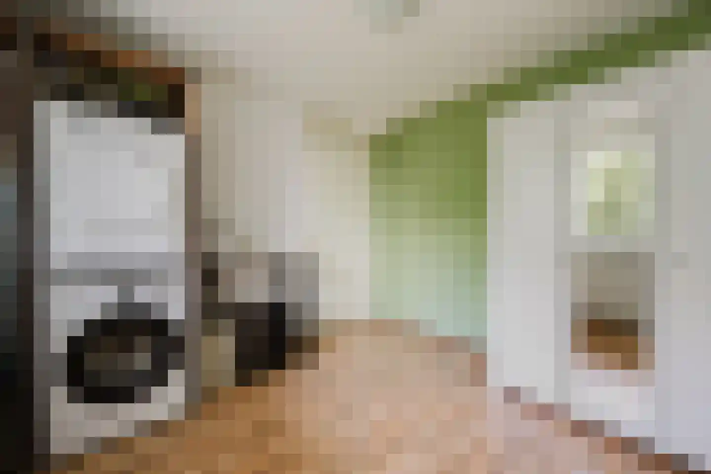 Anthonis van der Nootstraat 63 Spijkenisse thumbnail 26