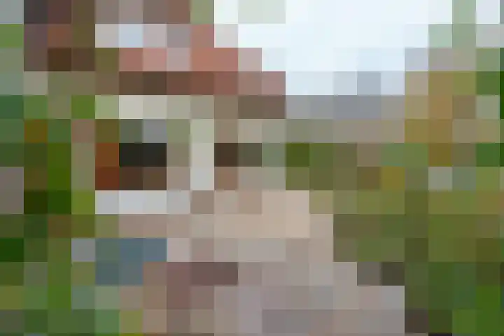 Anthonissenstraat 3 Koudekerke thumbnail 22