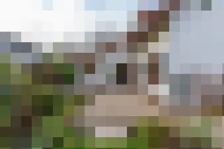 Anthonissenstraat 3 Koudekerke thumbnail 23