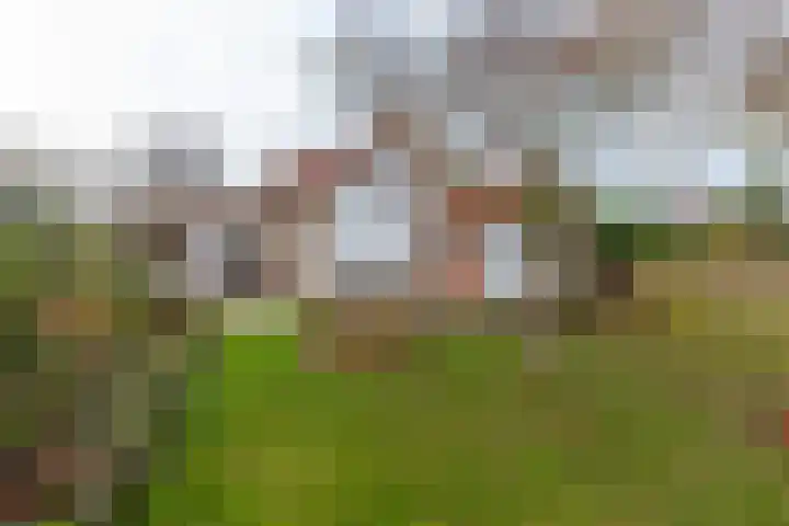 Anthonissenstraat 3 Koudekerke thumbnail 24