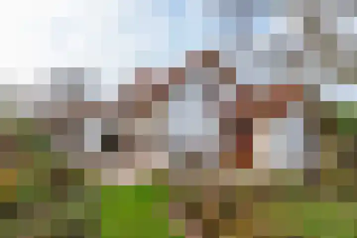 Anthonissenstraat 3 Koudekerke thumbnail 25