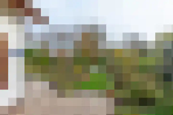 Anthonissenstraat 3 Koudekerke thumbnail 28