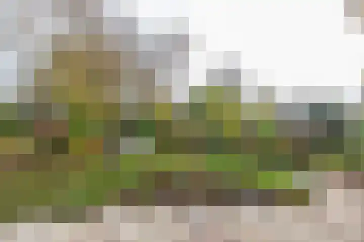Anthonissenstraat 3 Koudekerke thumbnail 29