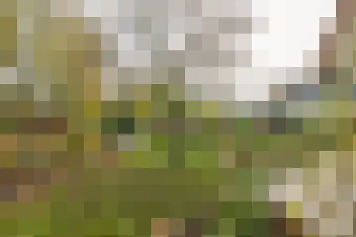 Anthonissenstraat 3 Koudekerke thumbnail 30