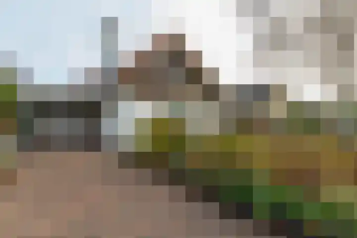 Anthonissenstraat 3 Koudekerke thumbnail 31