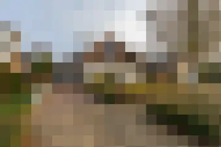 Anthonissenstraat 3 Koudekerke thumbnail 32