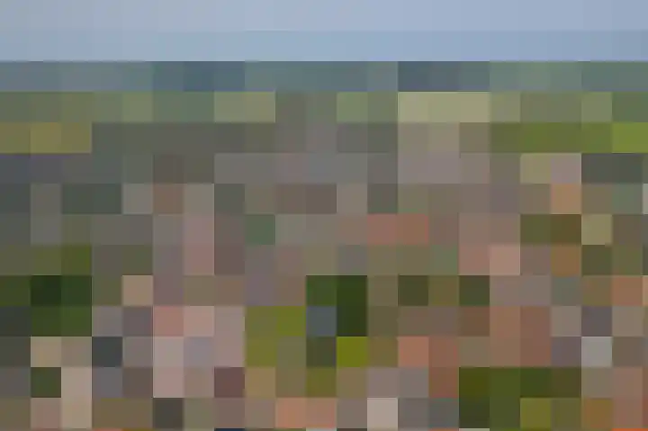 Anthonissenstraat 3 Koudekerke thumbnail 33