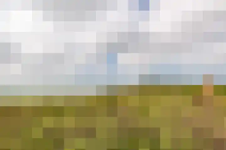 Anthonissenstraat 3 Koudekerke thumbnail 35