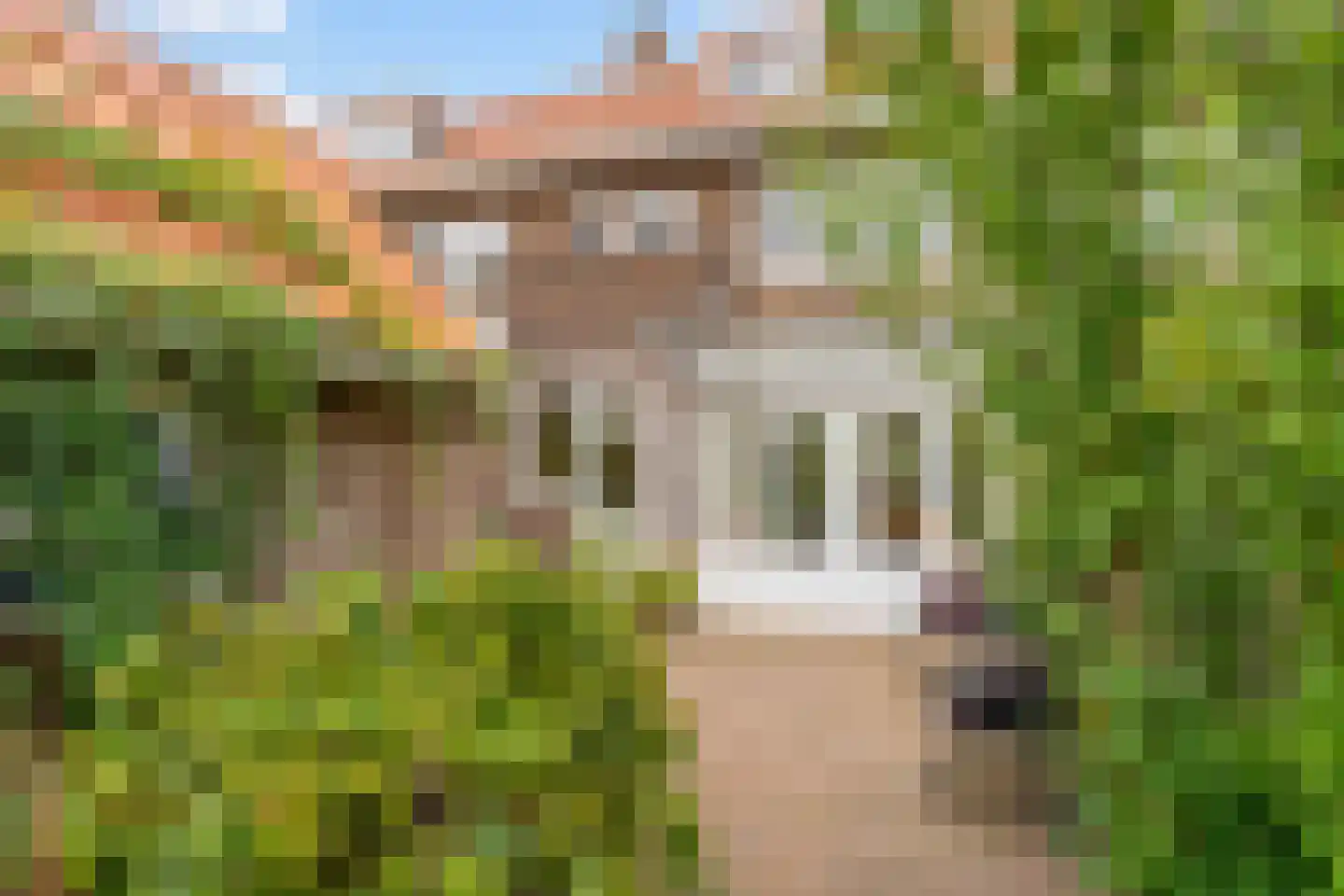 Anthonius van Alphenstraat 7 's-Hertogenbosch thumbnail 21