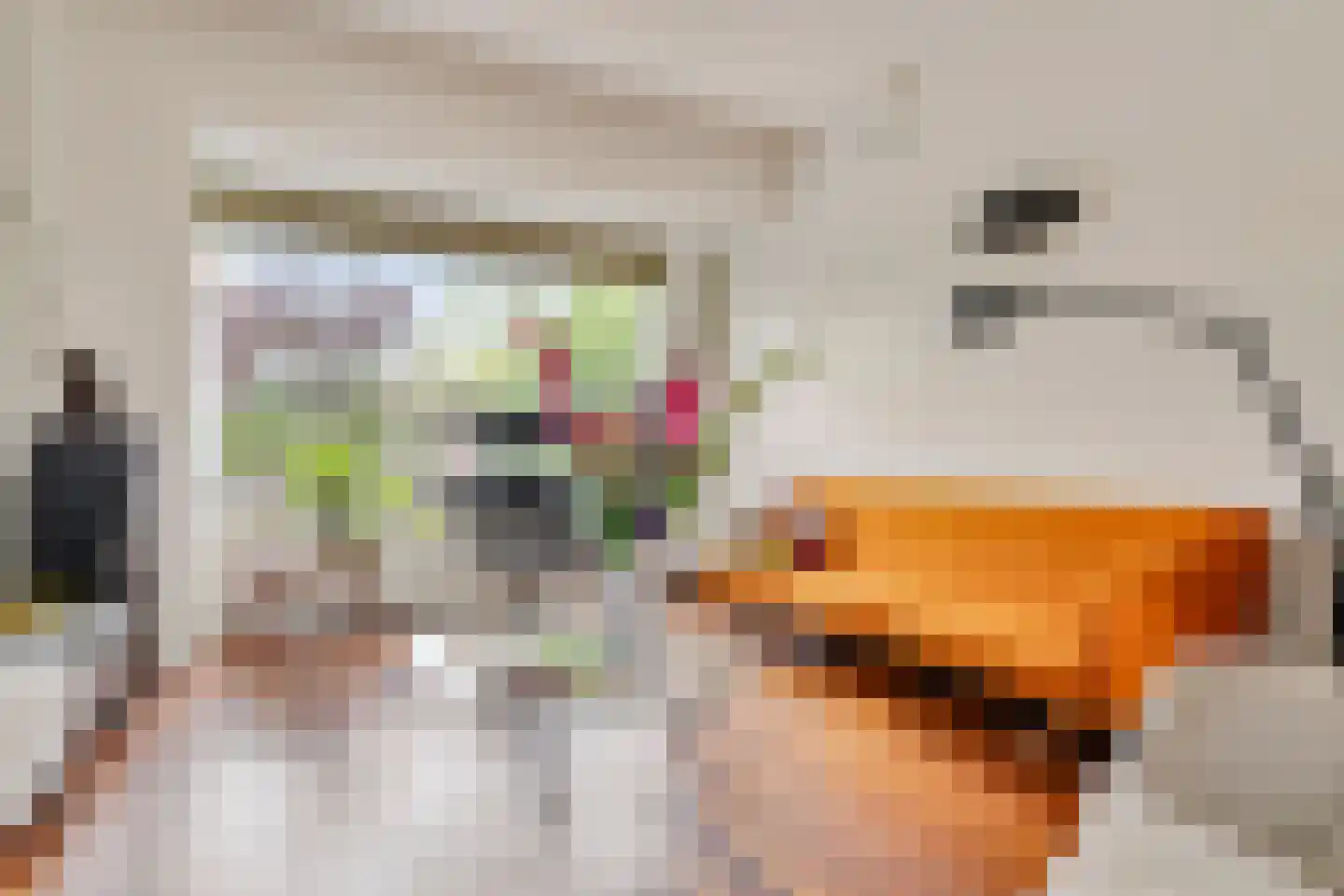 Anthonius van Alphenstraat 7 's-Hertogenbosch thumbnail 5