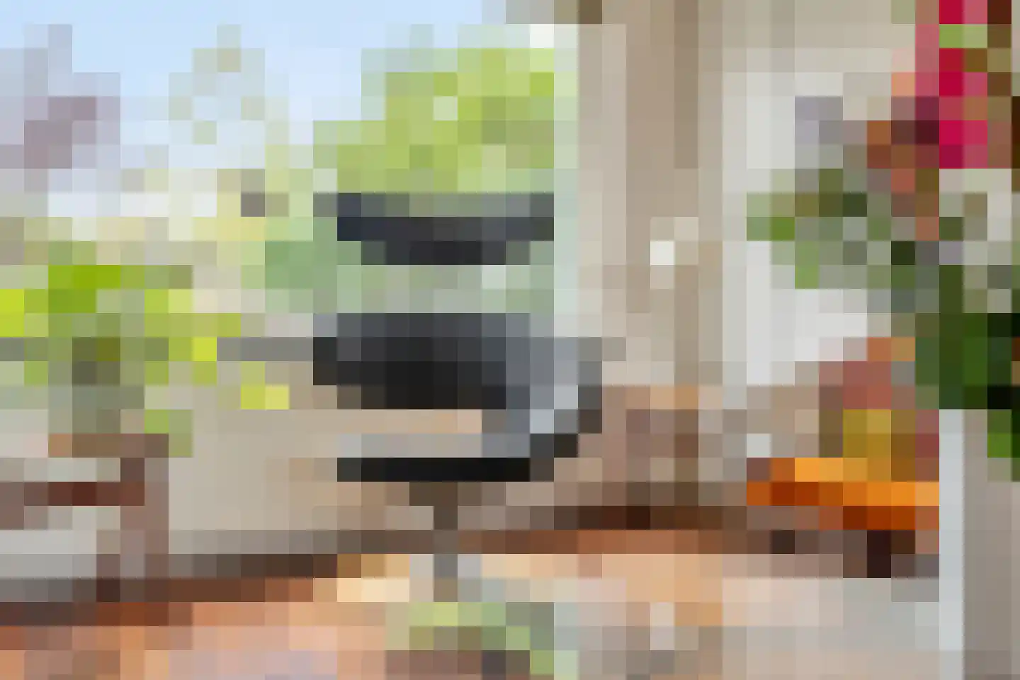 Anthonius van Alphenstraat 7 's-Hertogenbosch thumbnail 6