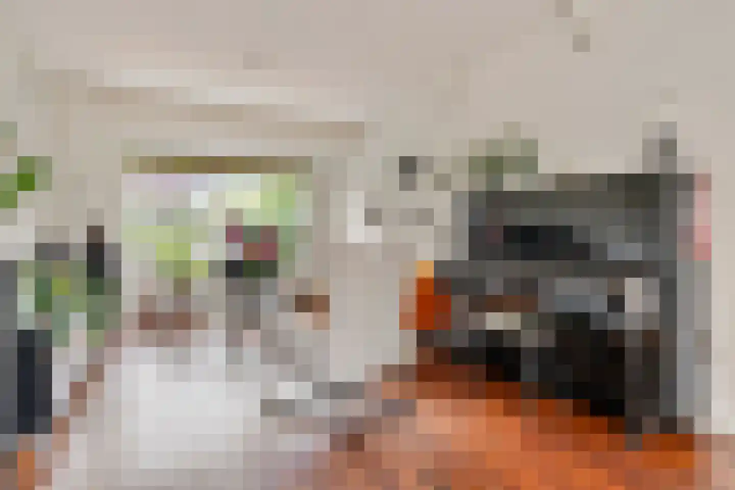 Anthonius van Alphenstraat 7 's-Hertogenbosch thumbnail 8