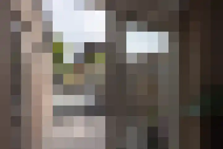 Anthoniusstraat 40 Hengelo thumbnail 11