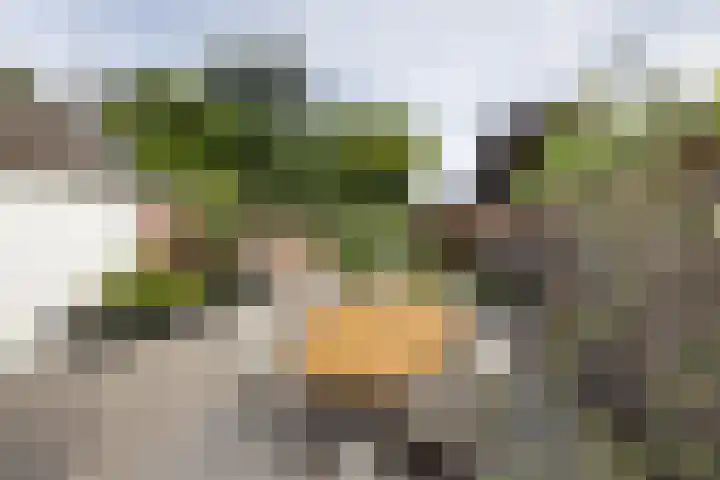 Anthoniusstraat 40 Hengelo thumbnail 26