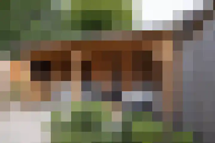 Anthoniusstraat 40 Hengelo thumbnail 29