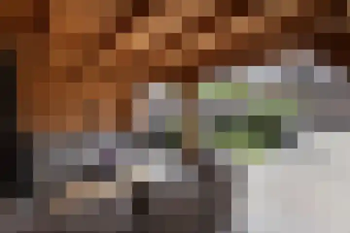 Anthoniusstraat 40 Hengelo thumbnail 31