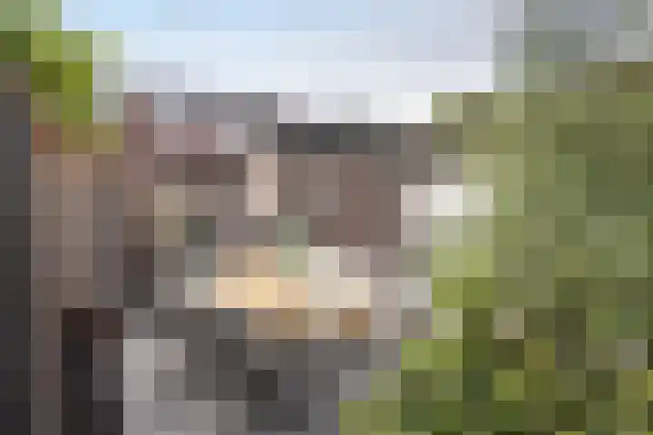 Anthoniusstraat 40 Hengelo thumbnail 34