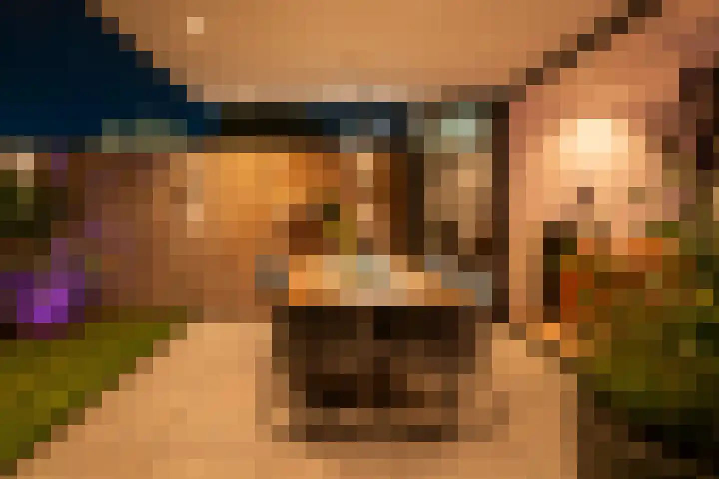 Anthoniuswerf 17 Schoonrewoerd thumbnail 23