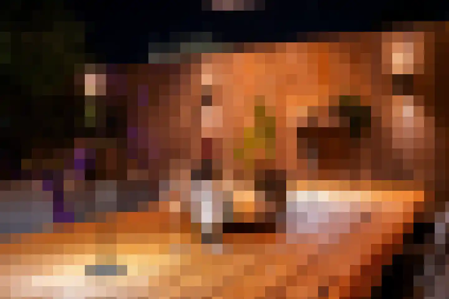 Anthoniuswerf 17 Schoonrewoerd thumbnail 24