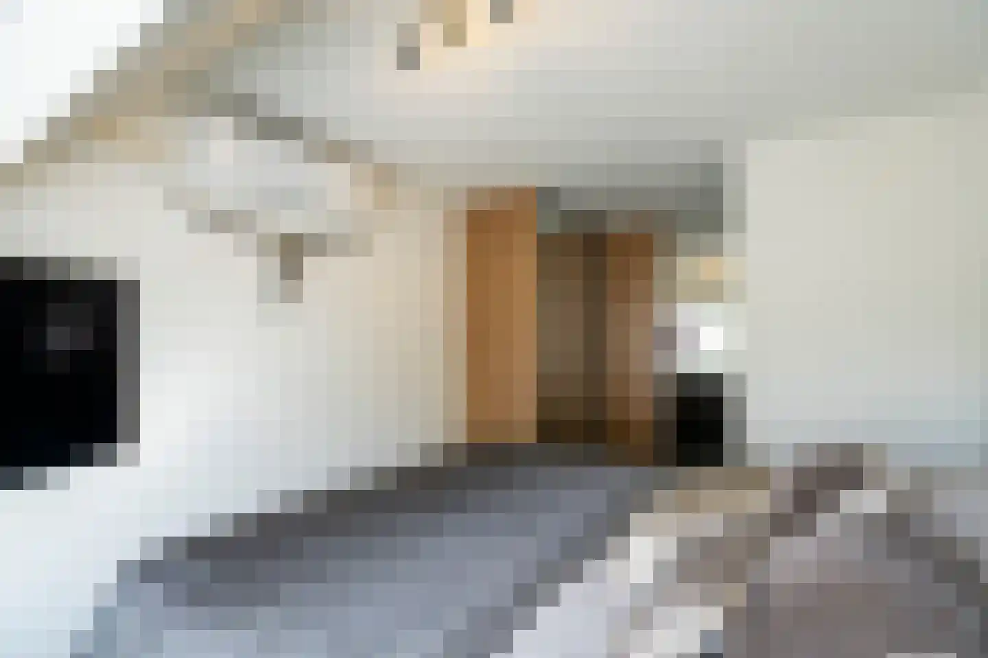 Anthoniuswerf 17 Schoonrewoerd thumbnail 31