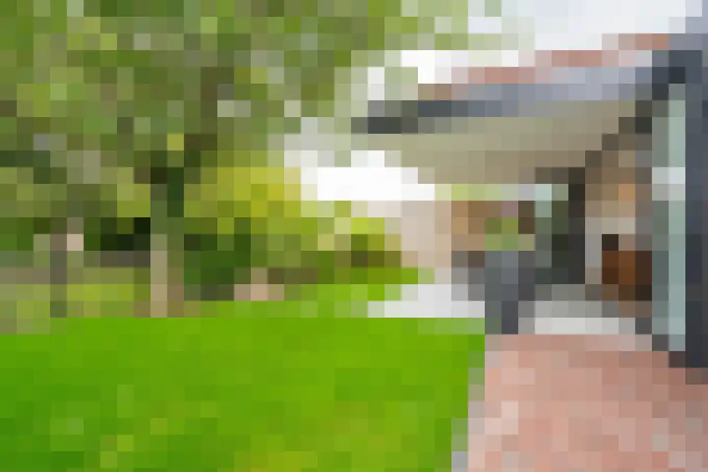 Anthoniuswerf 17 Schoonrewoerd thumbnail 43