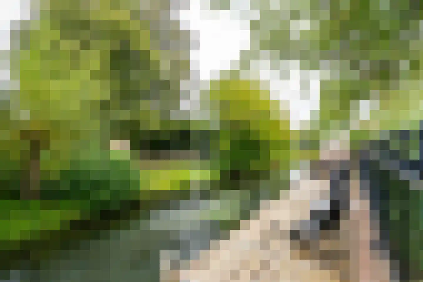 Anthoniuswerf 17 Schoonrewoerd thumbnail 44