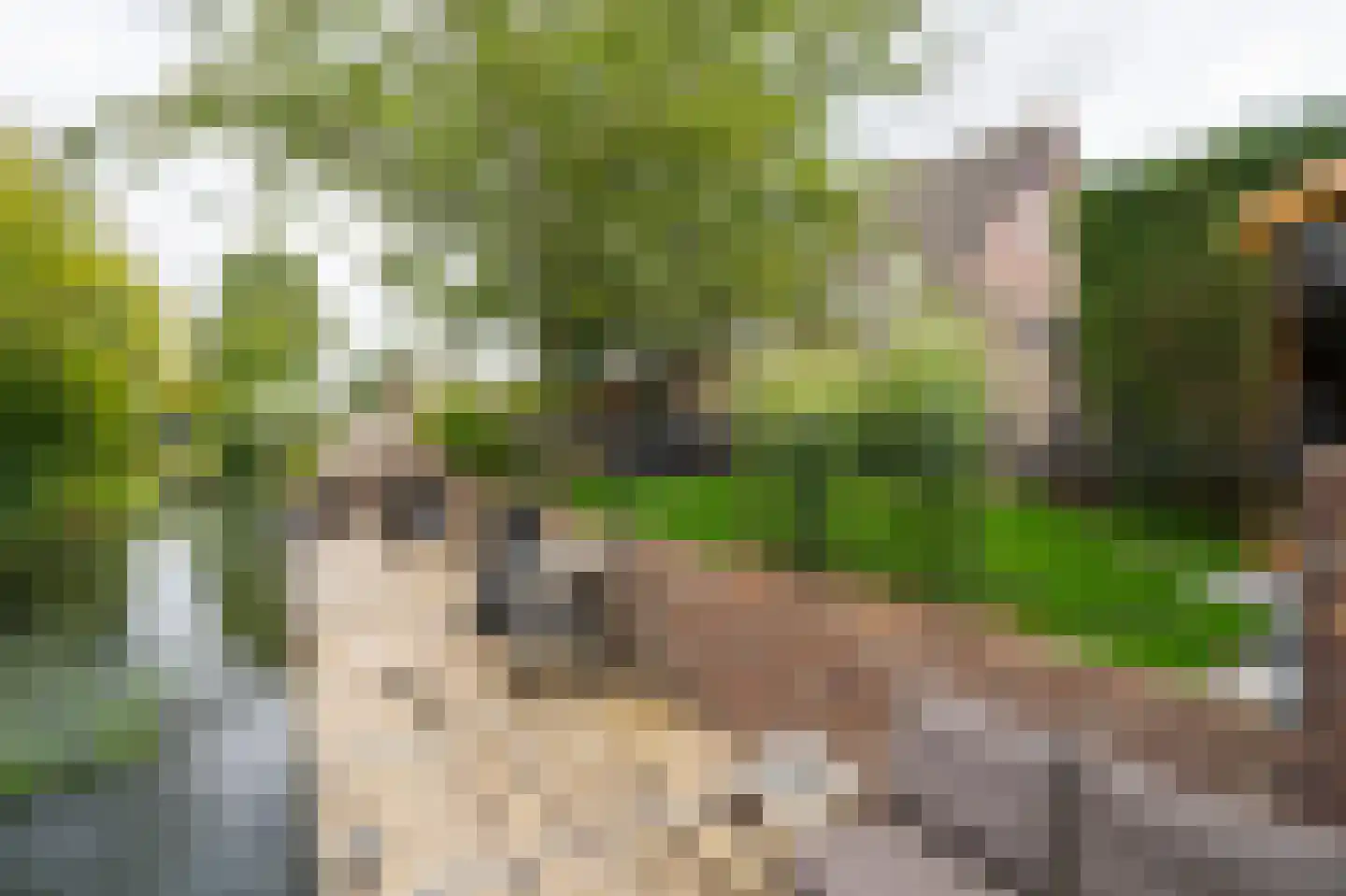 Anthoniuswerf 17 Schoonrewoerd thumbnail 45